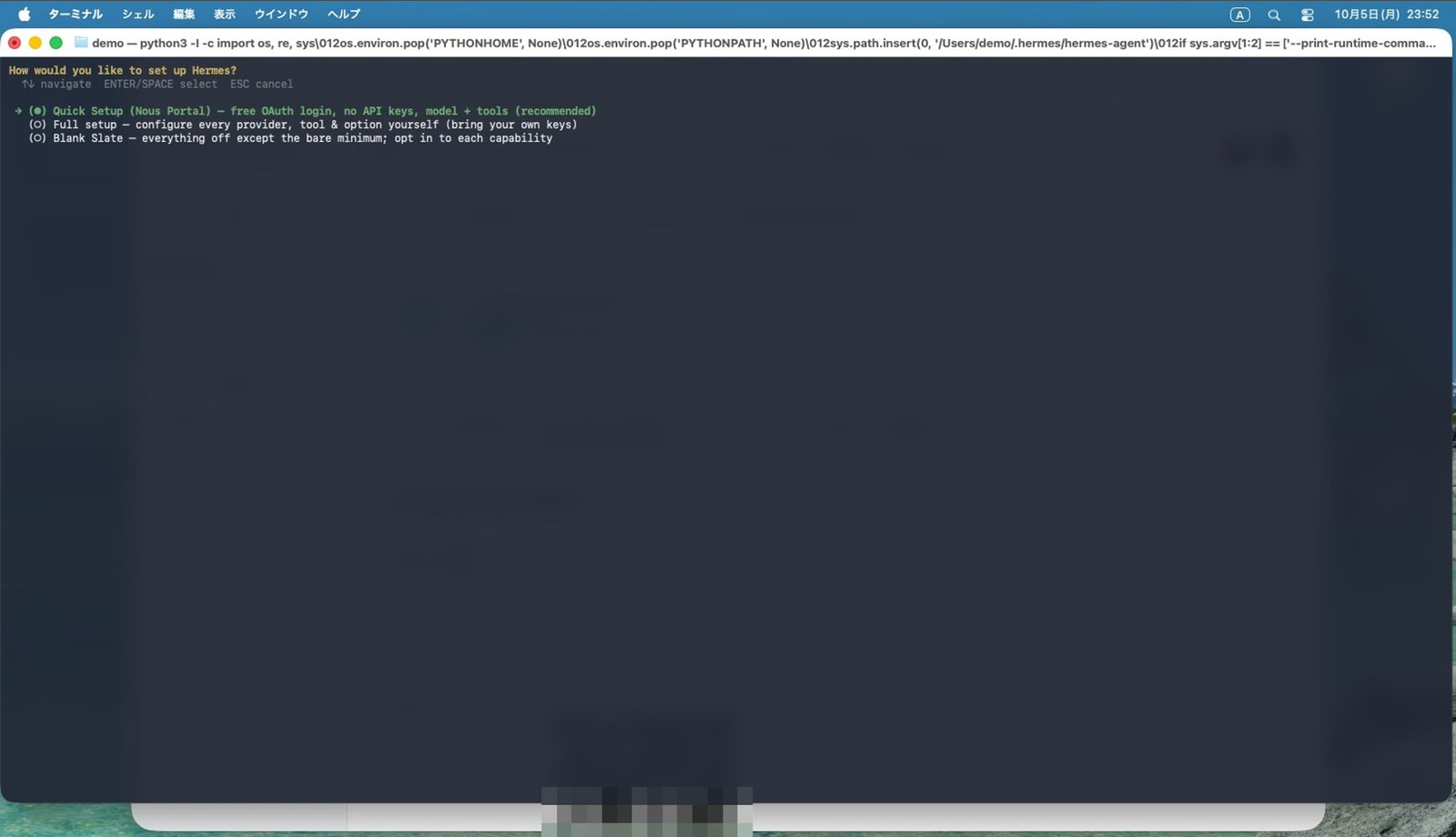 最後の設定画面は Esc で抜ける